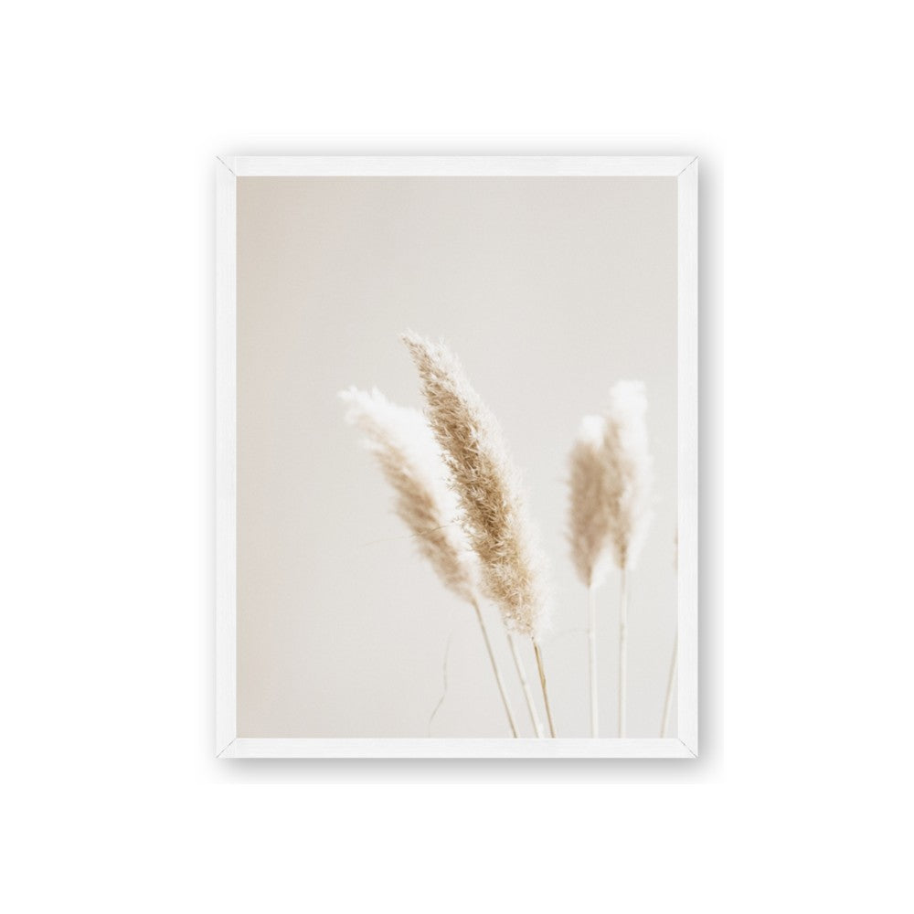 White Cluster petaled flower