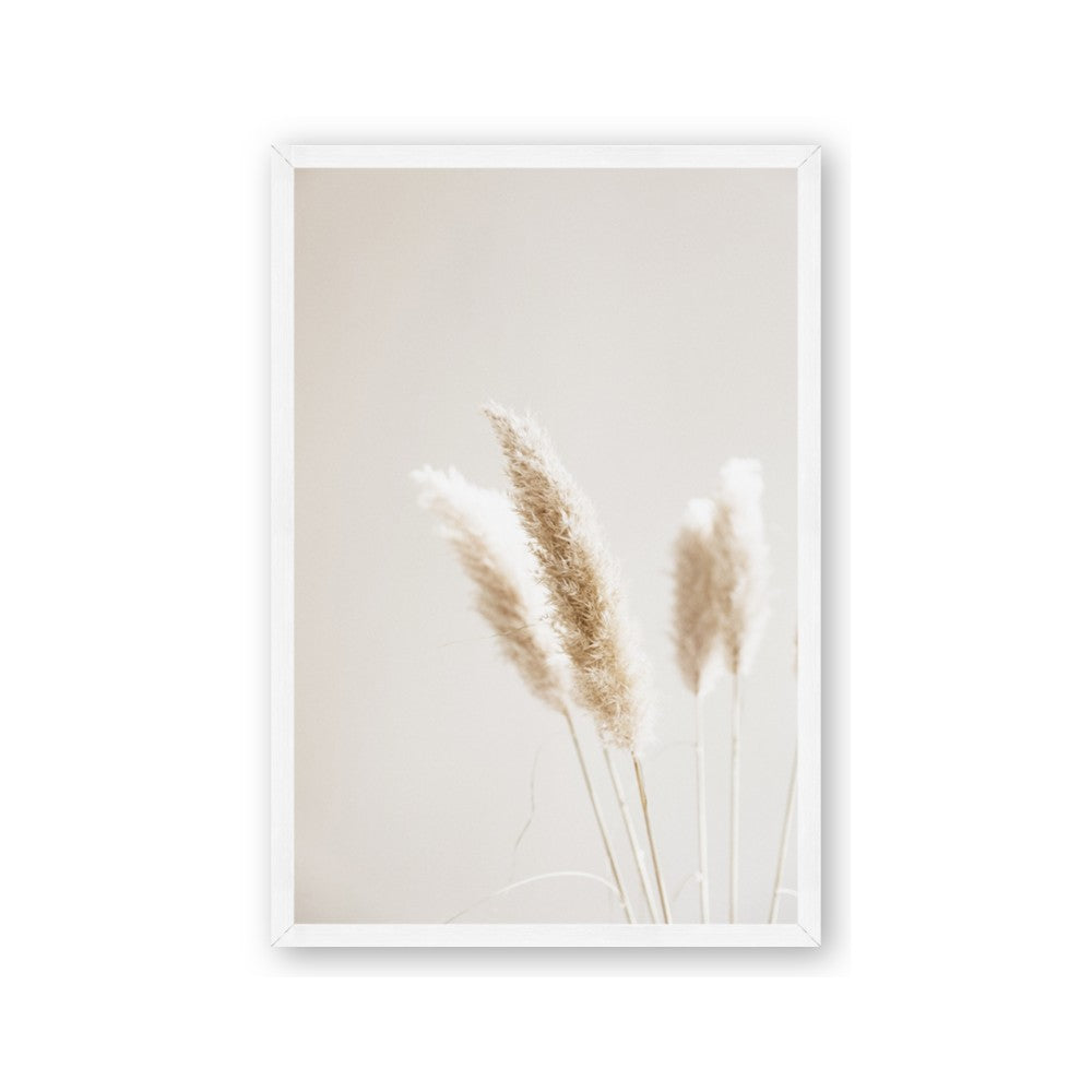 White Cluster petaled flower