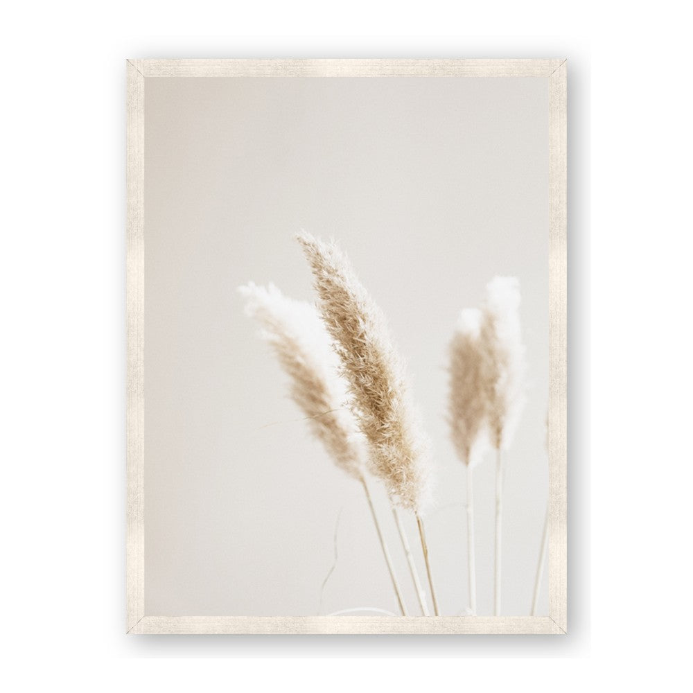 White Cluster petaled flower