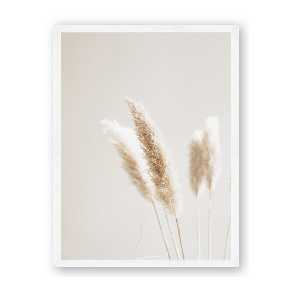 White Cluster petaled flower