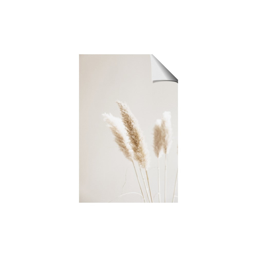 White Cluster petaled flower