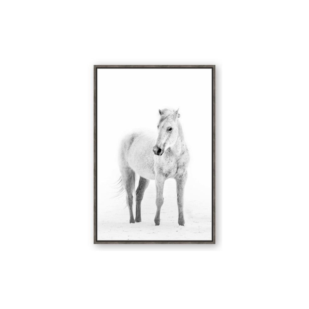 Solo White Horse