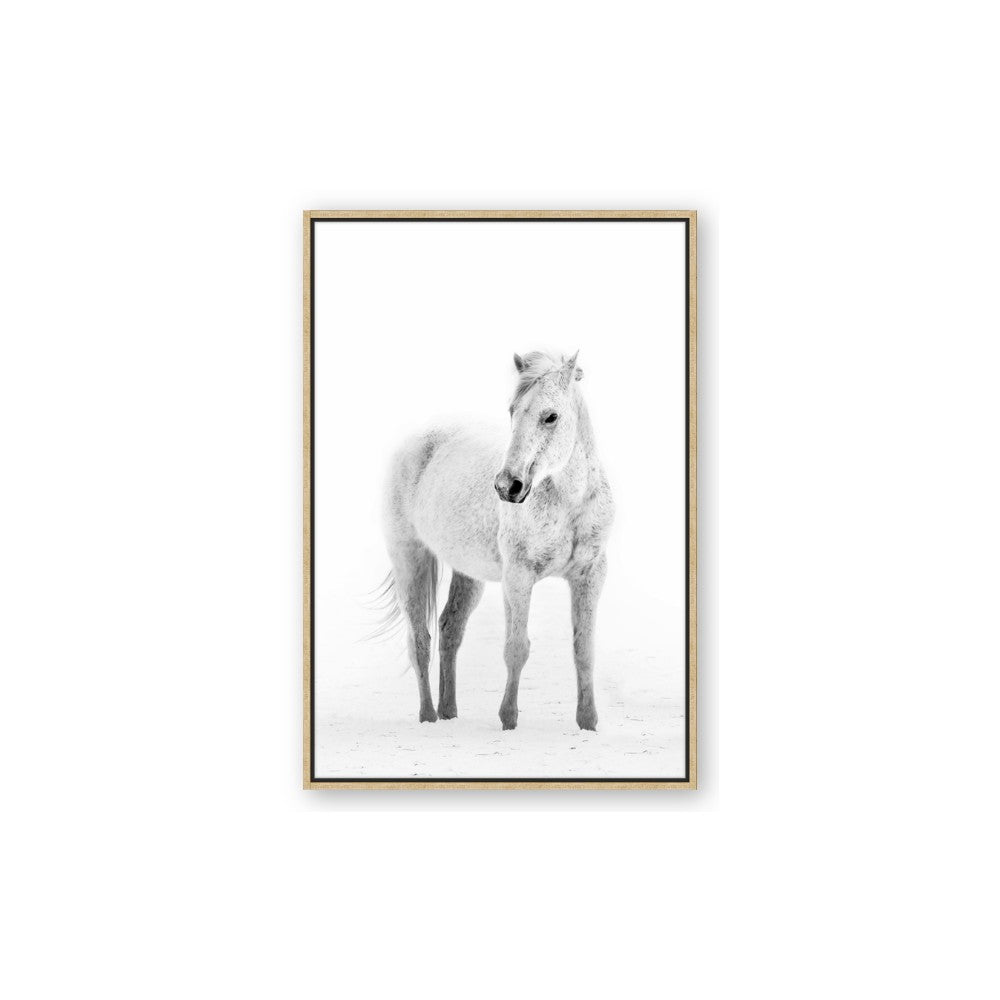 Solo White Horse