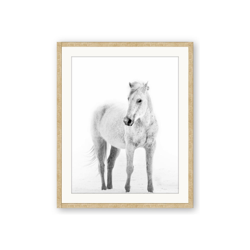 Solo White Horse