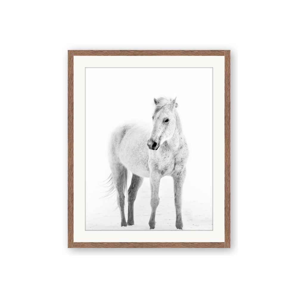 Solo White Horse