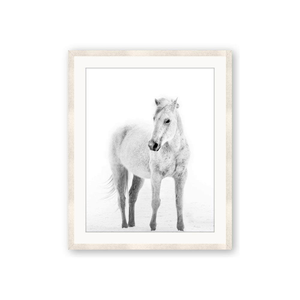 Solo White Horse