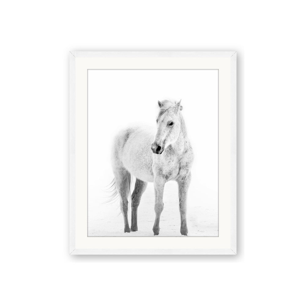 Solo White Horse