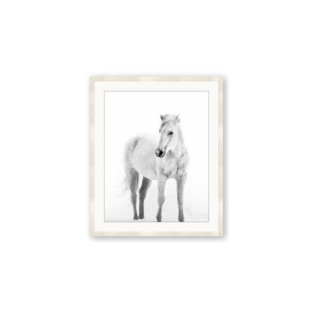 Solo White Horse