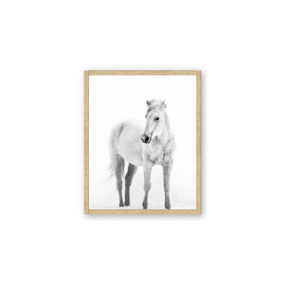 Solo White Horse