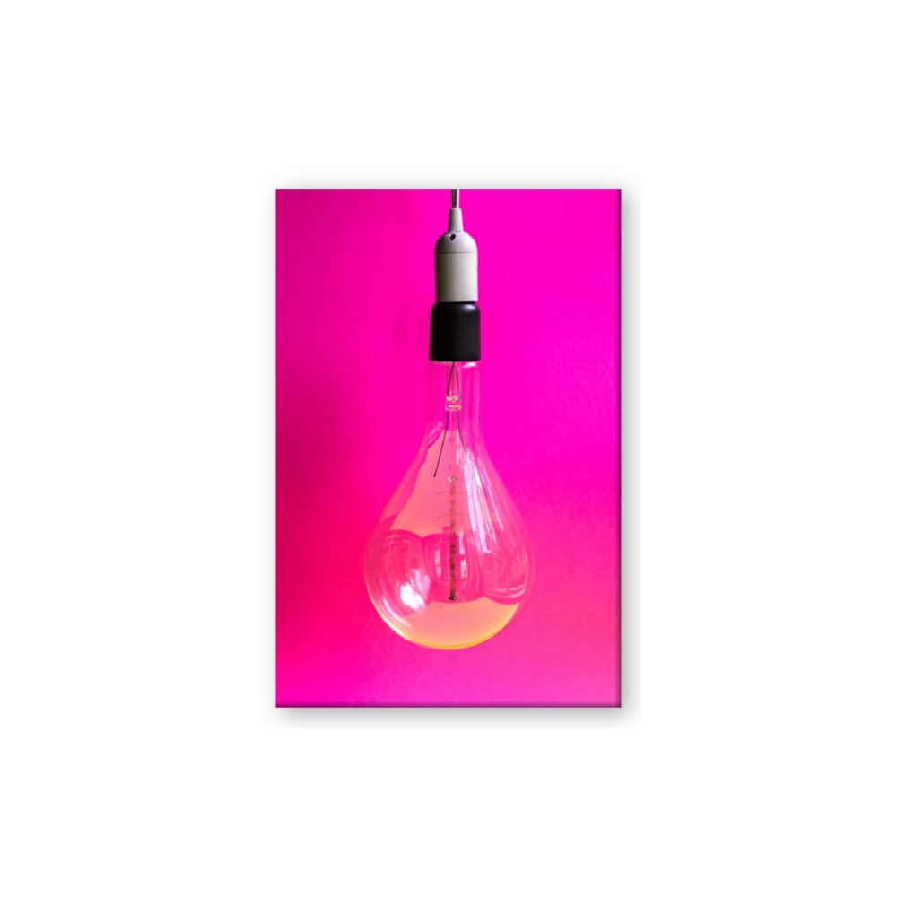 Hot Pink Light Bulb