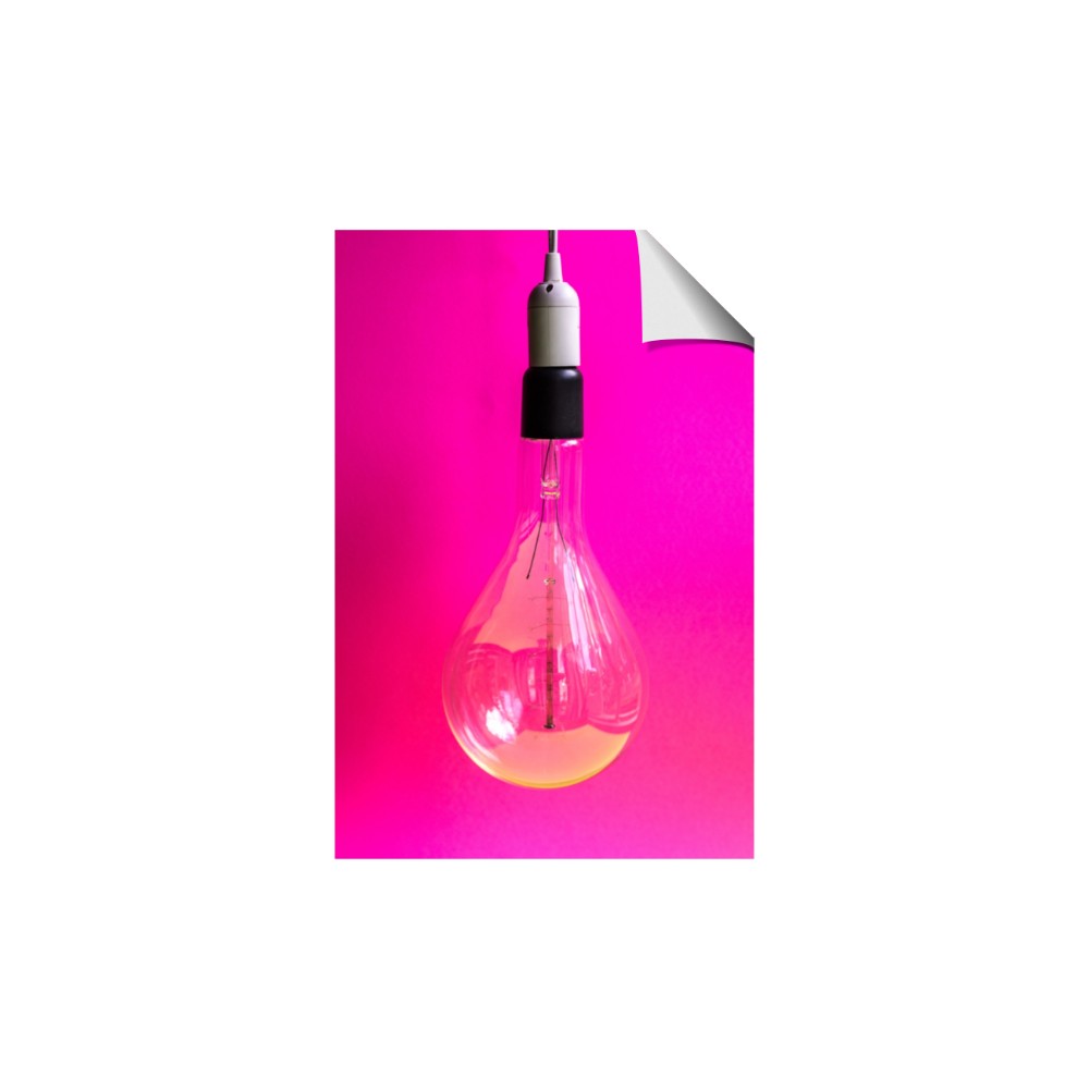 Hot Pink Light Bulb