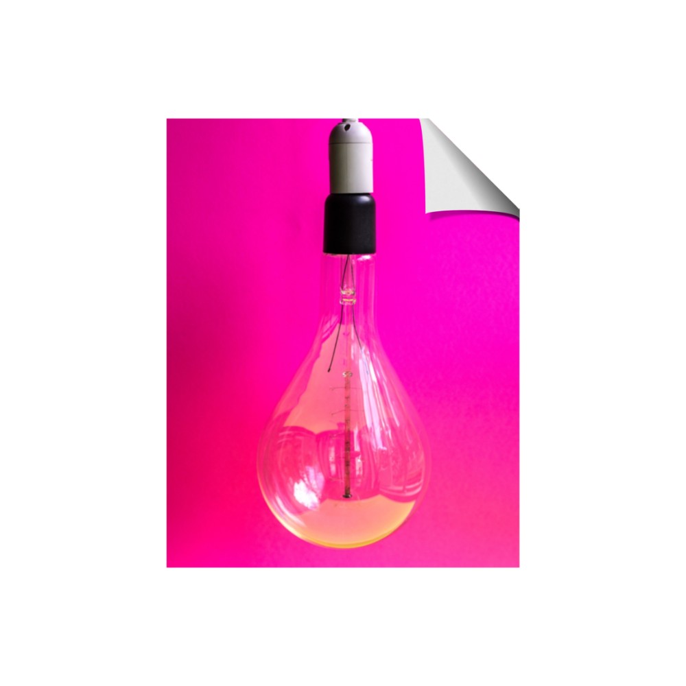 Hot Pink Light Bulb