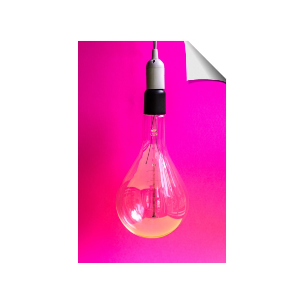 Hot Pink Light Bulb