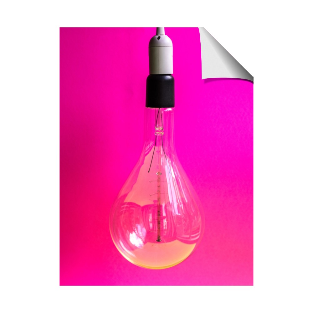 Hot Pink Light Bulb