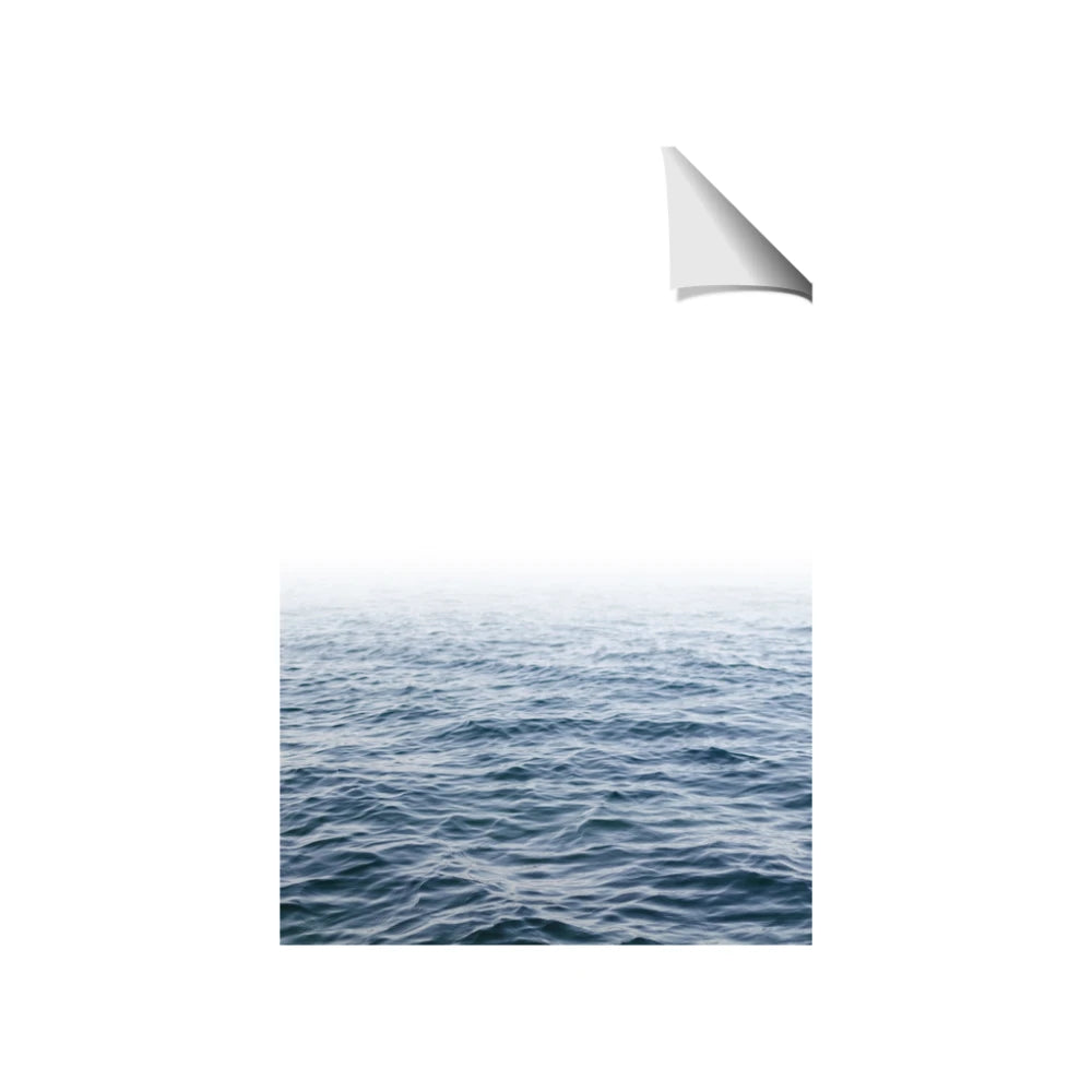 Fog sea background