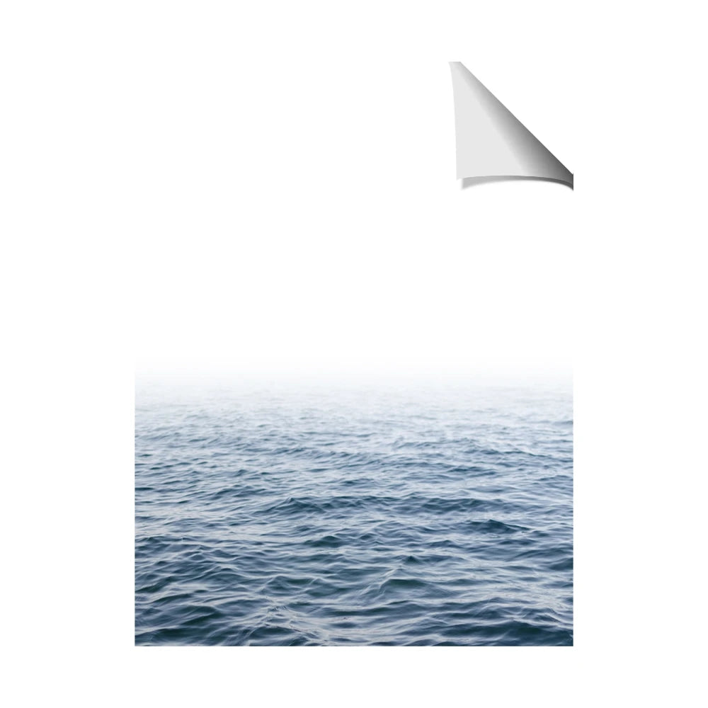 Fog sea background
