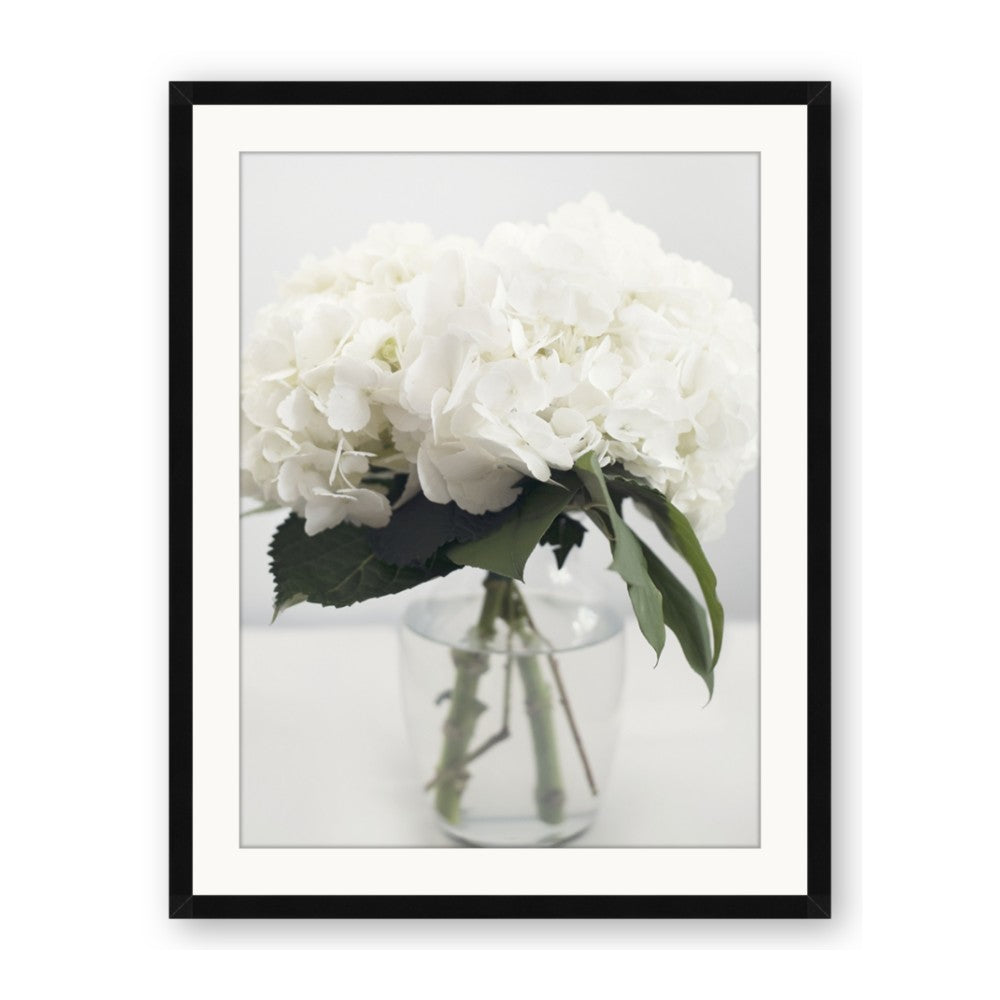 Hydrangea Bouquet