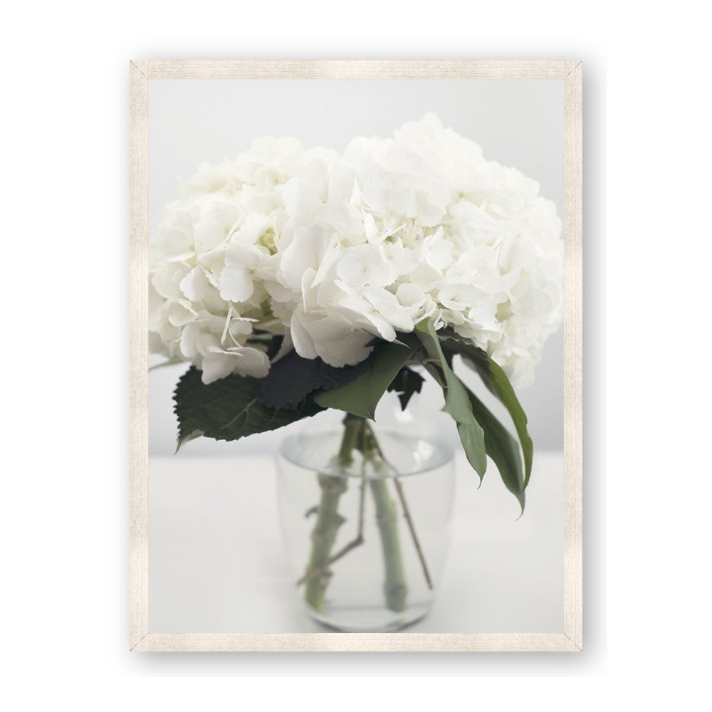 Hydrangea Bouquet