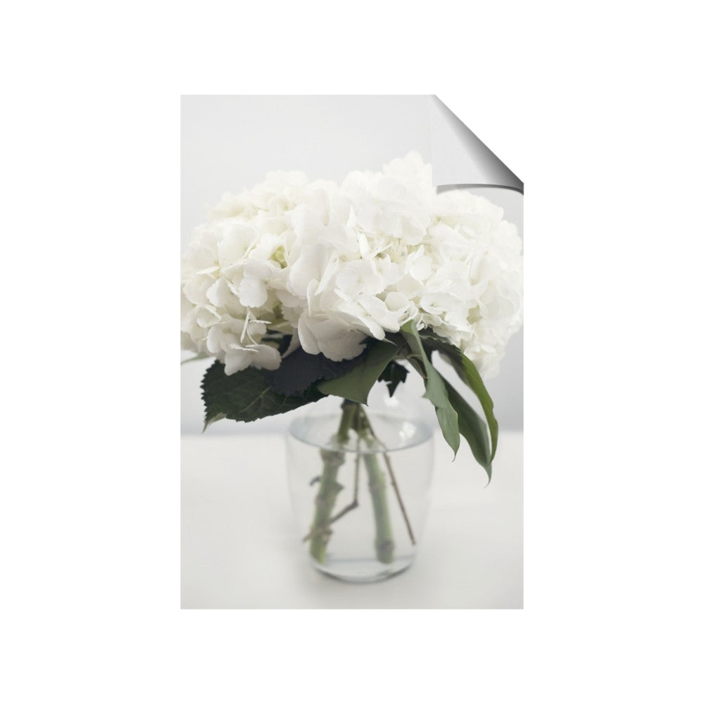 Hydrangea Bouquet