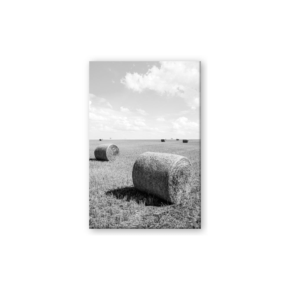 Hay Bail