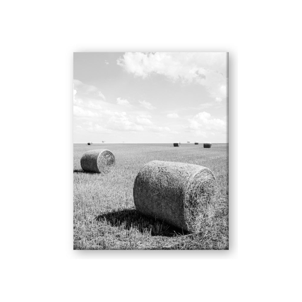 Hay Bail