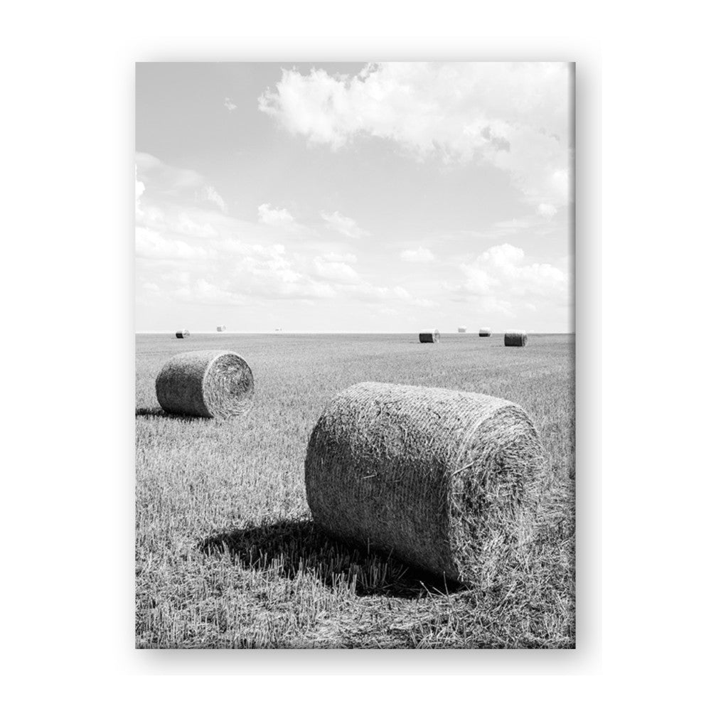 Hay Bail