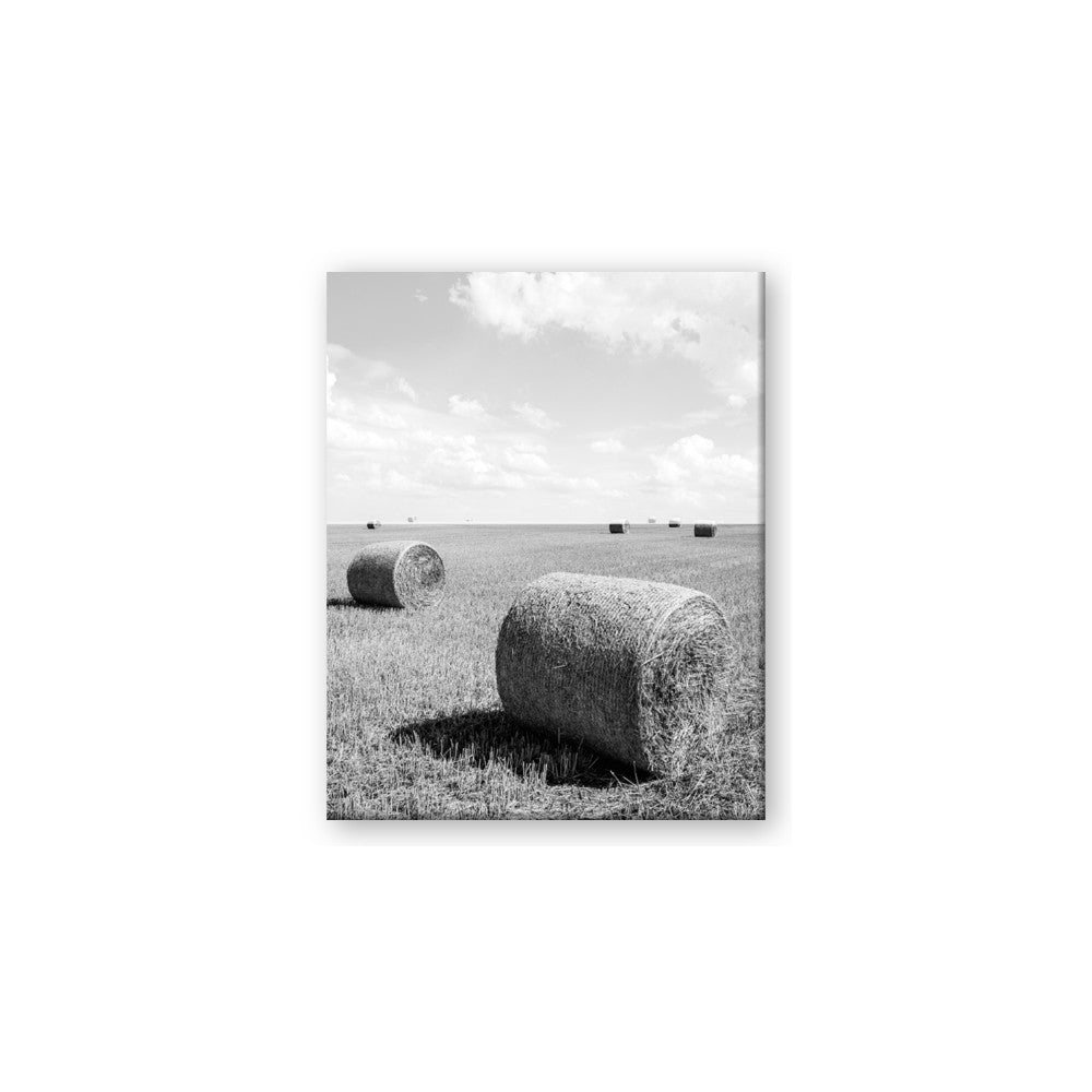 Hay Bail