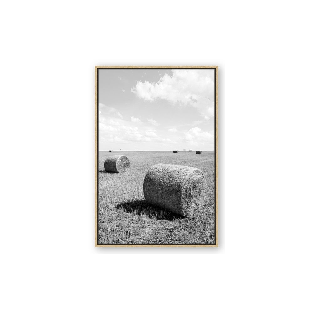 Hay Bail