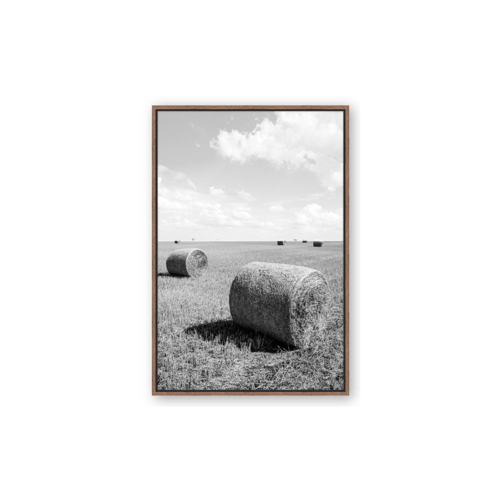 Hay Bail