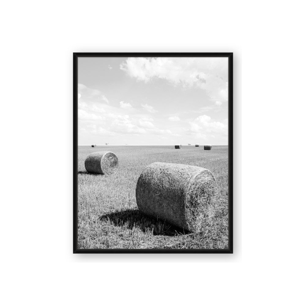 Hay Bail