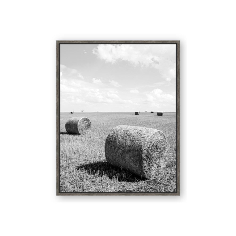 Hay Bail