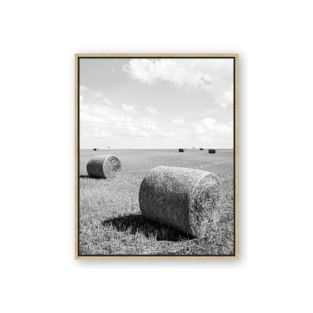 Hay Bail