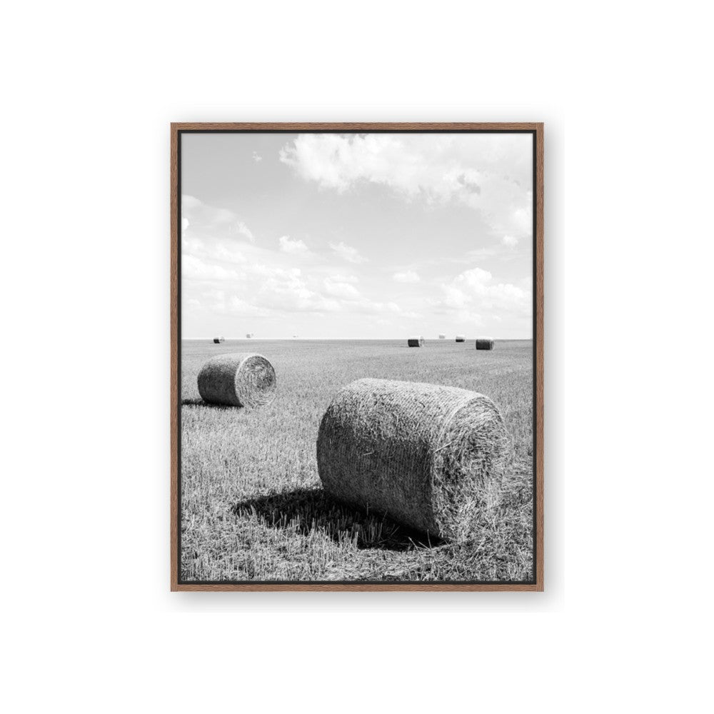 Hay Bail
