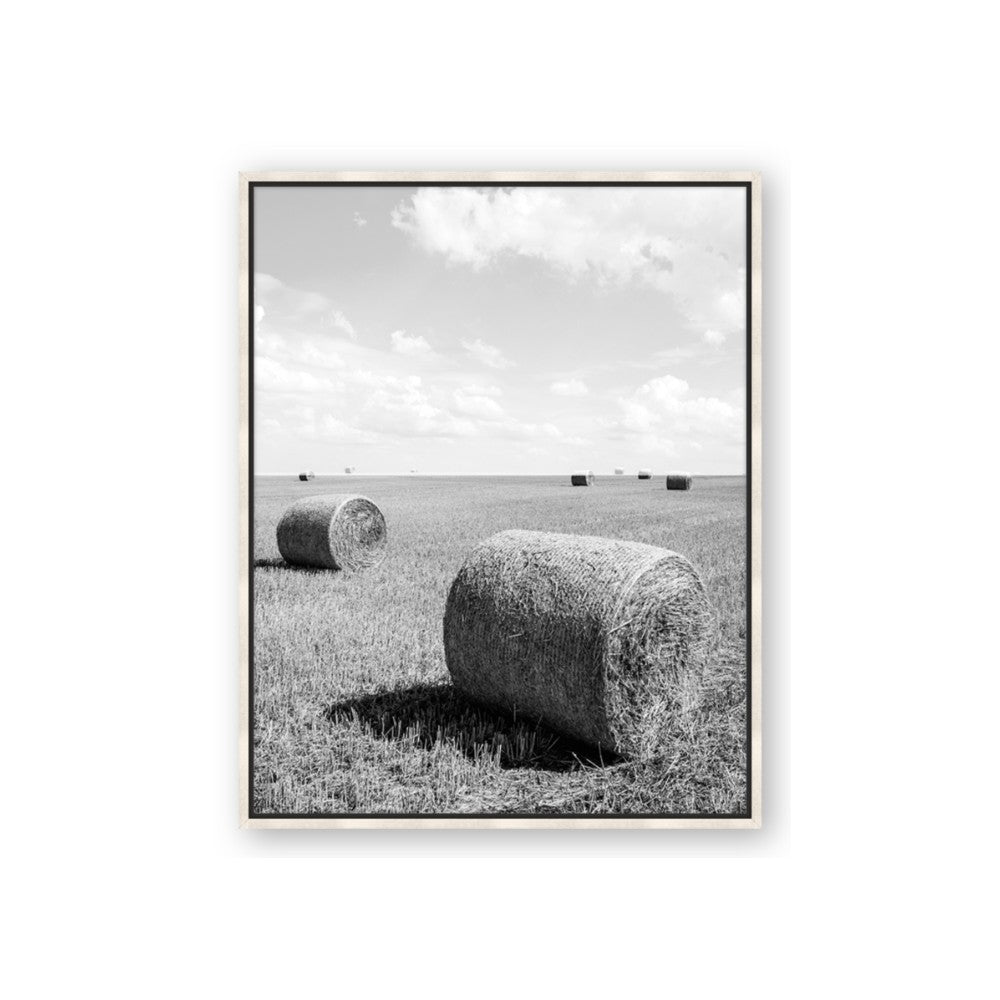 Hay Bail