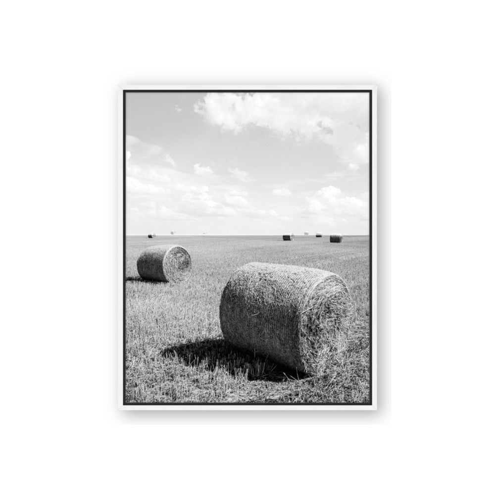 Hay Bail