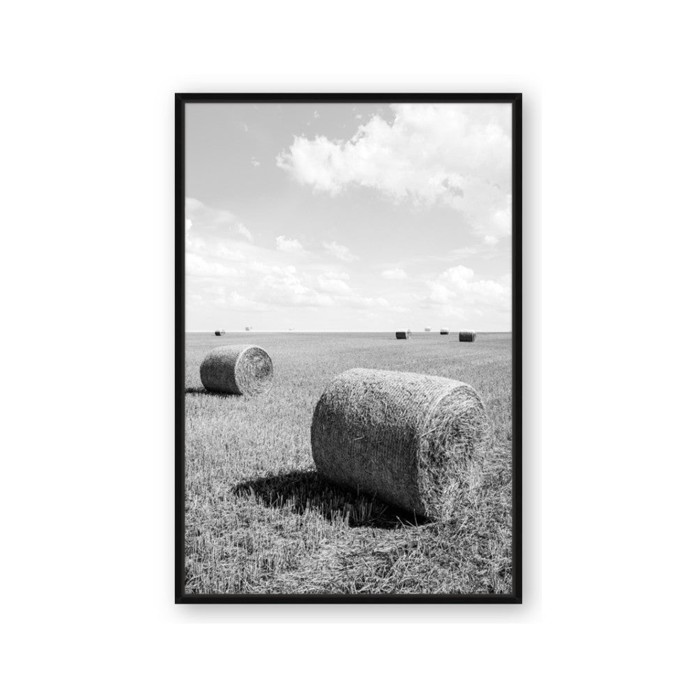 Hay Bail