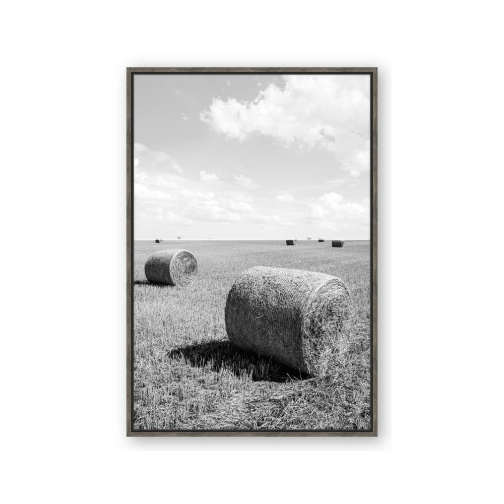 Hay Bail