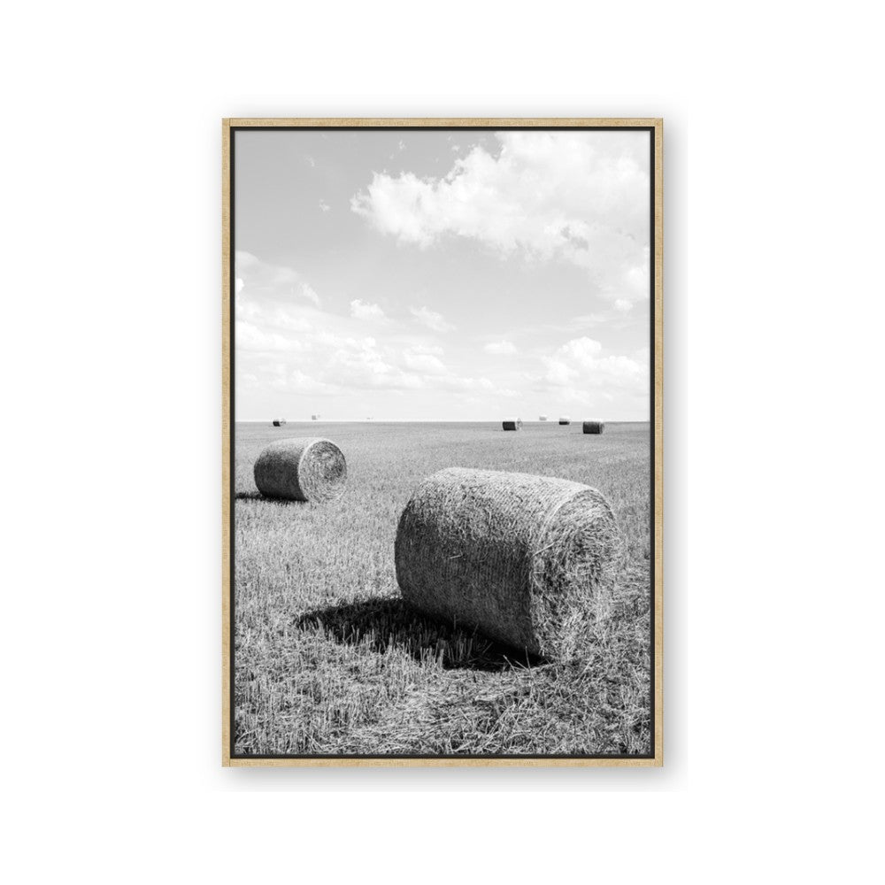 Hay Bail