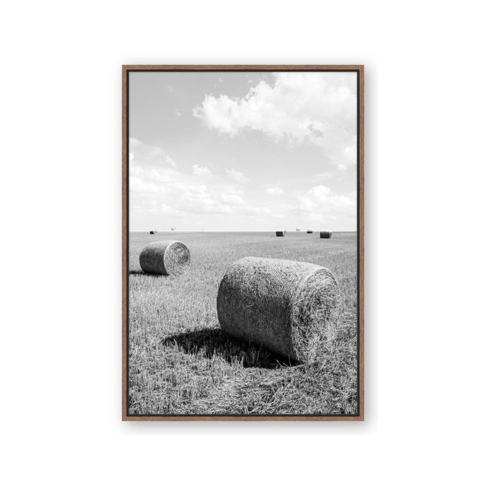 Hay Bail