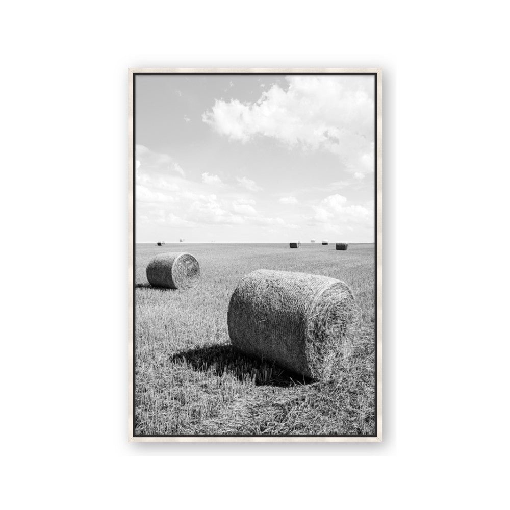 Hay Bail