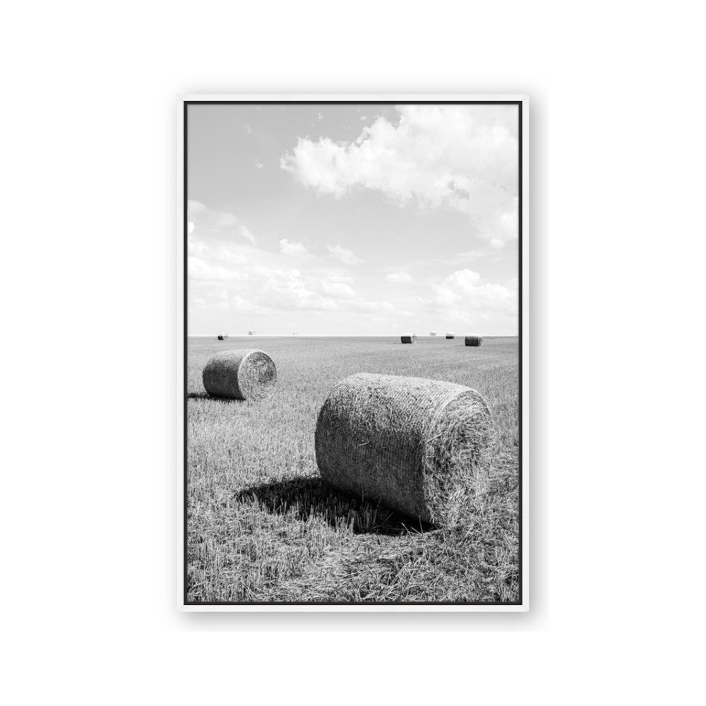 Hay Bail