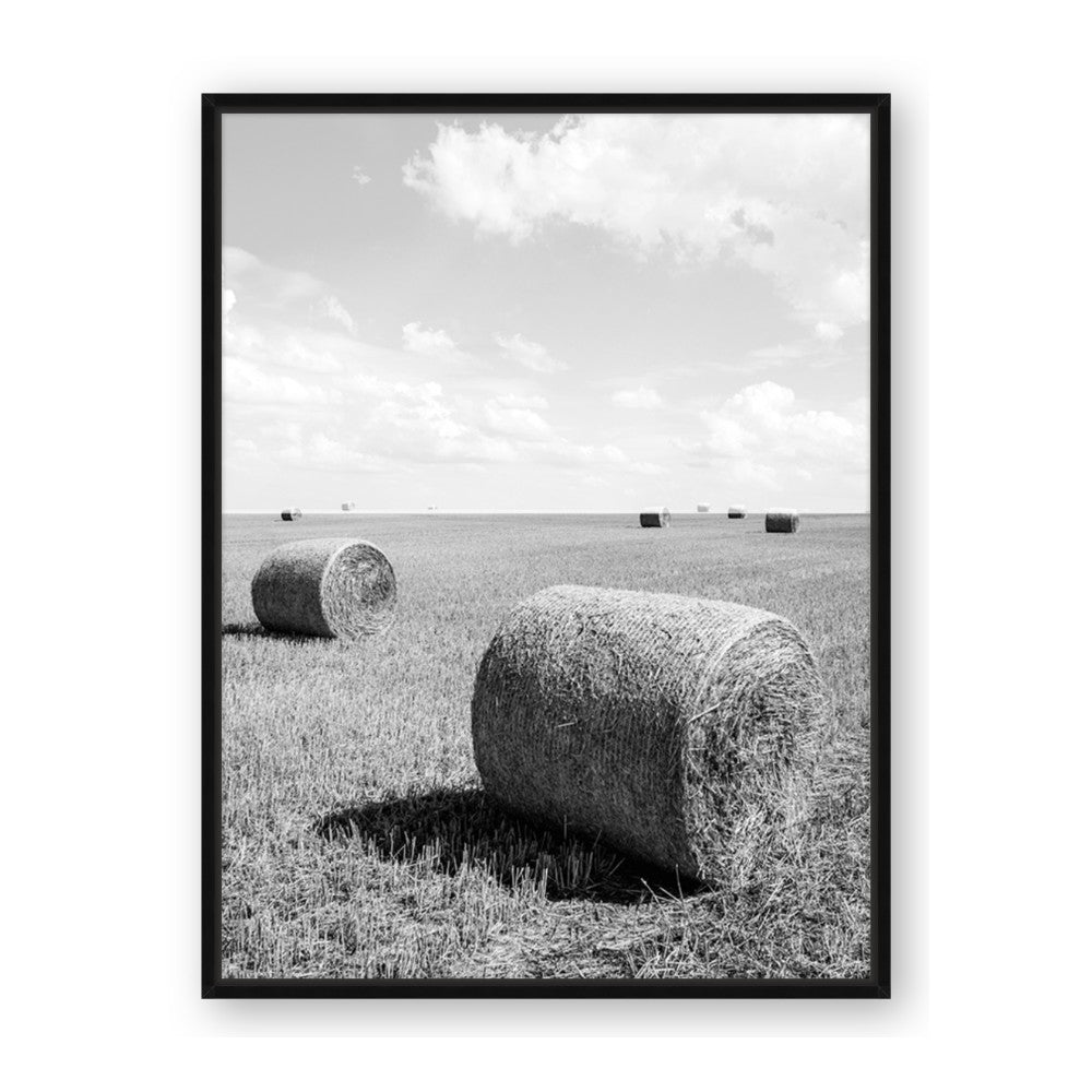 Hay Bail