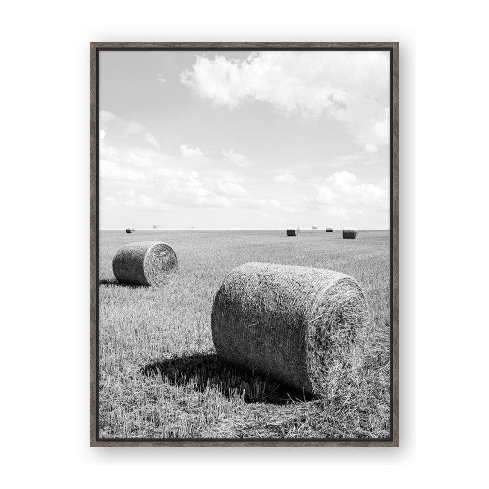 Hay Bail