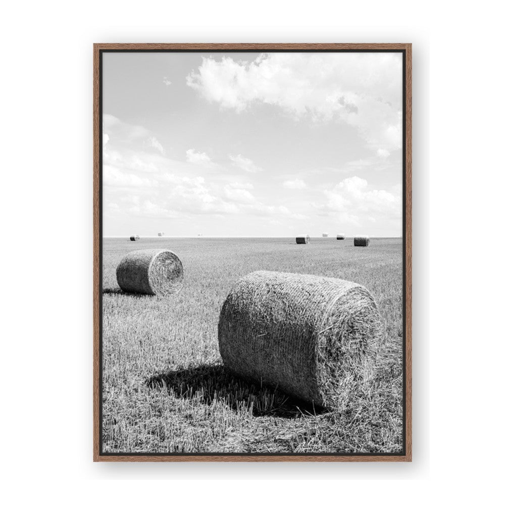 Hay Bail