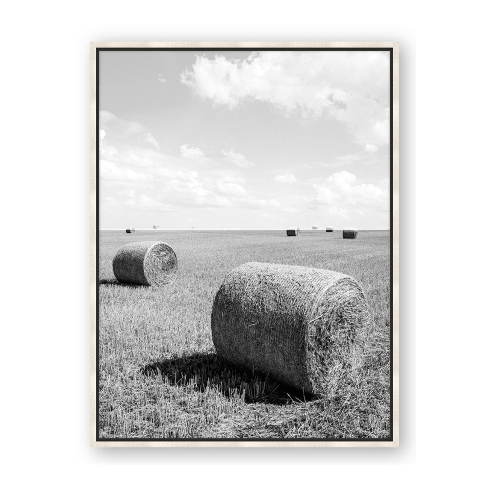 Hay Bail