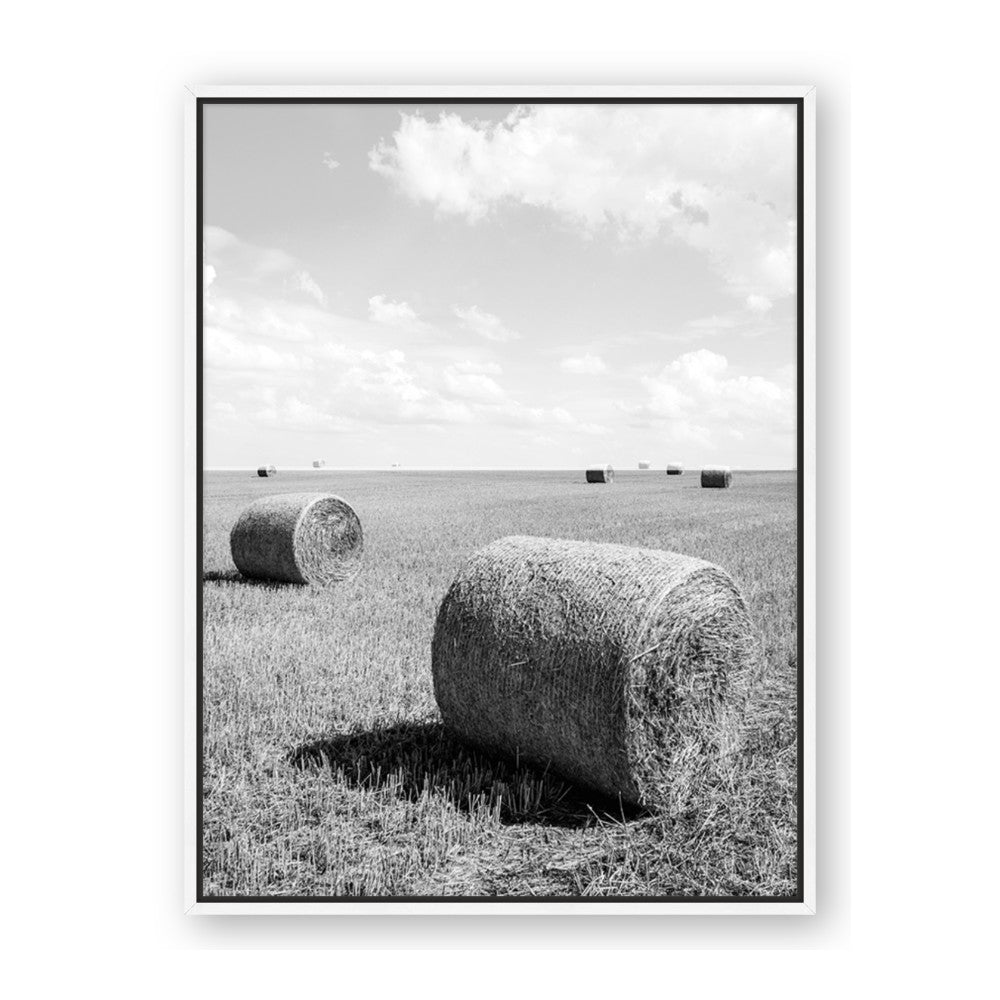 Hay Bail