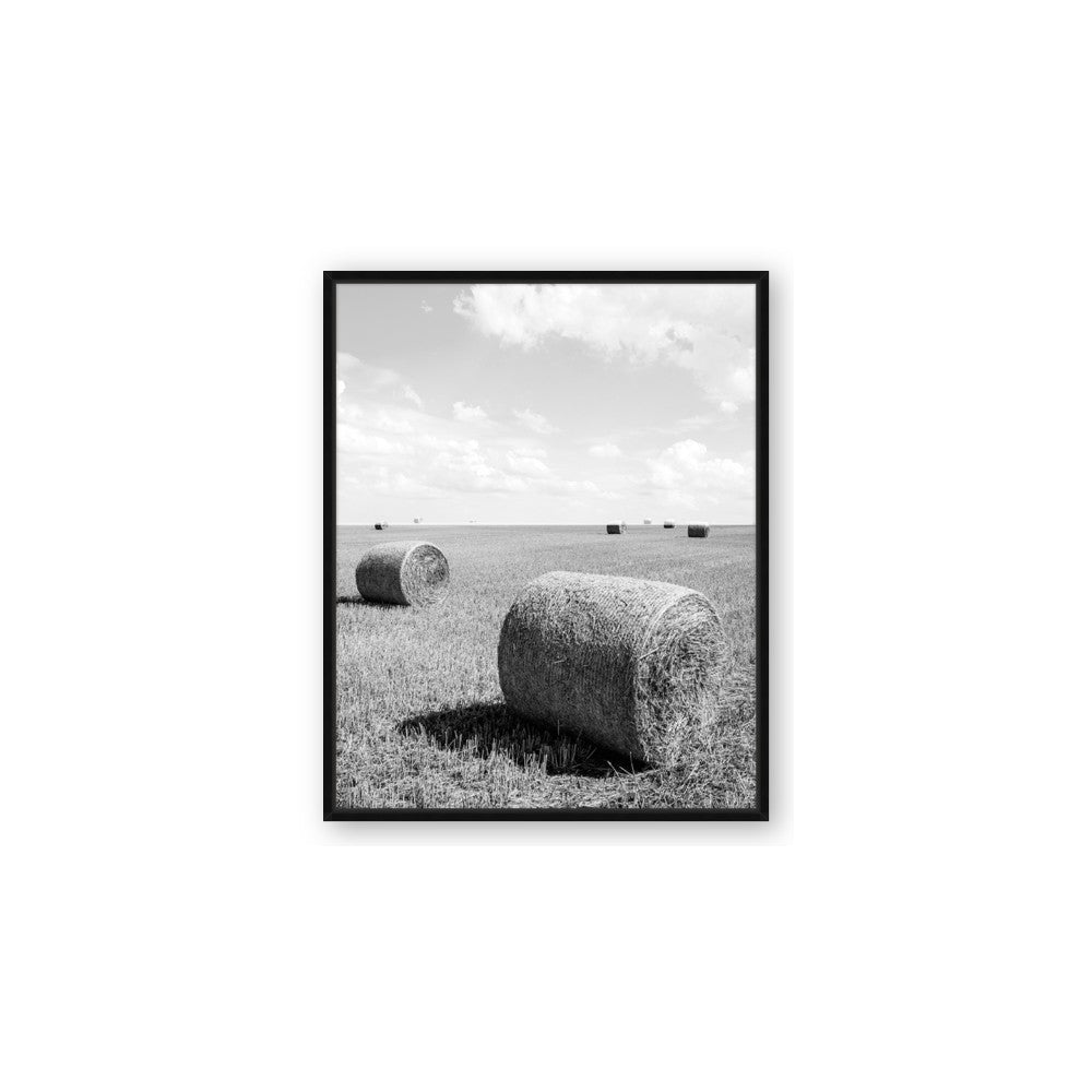 Hay Bail