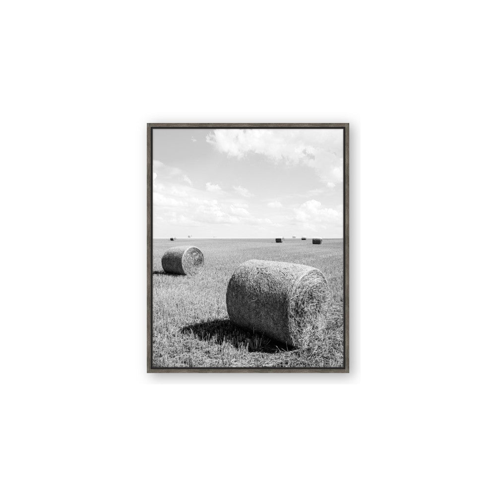 Hay Bail