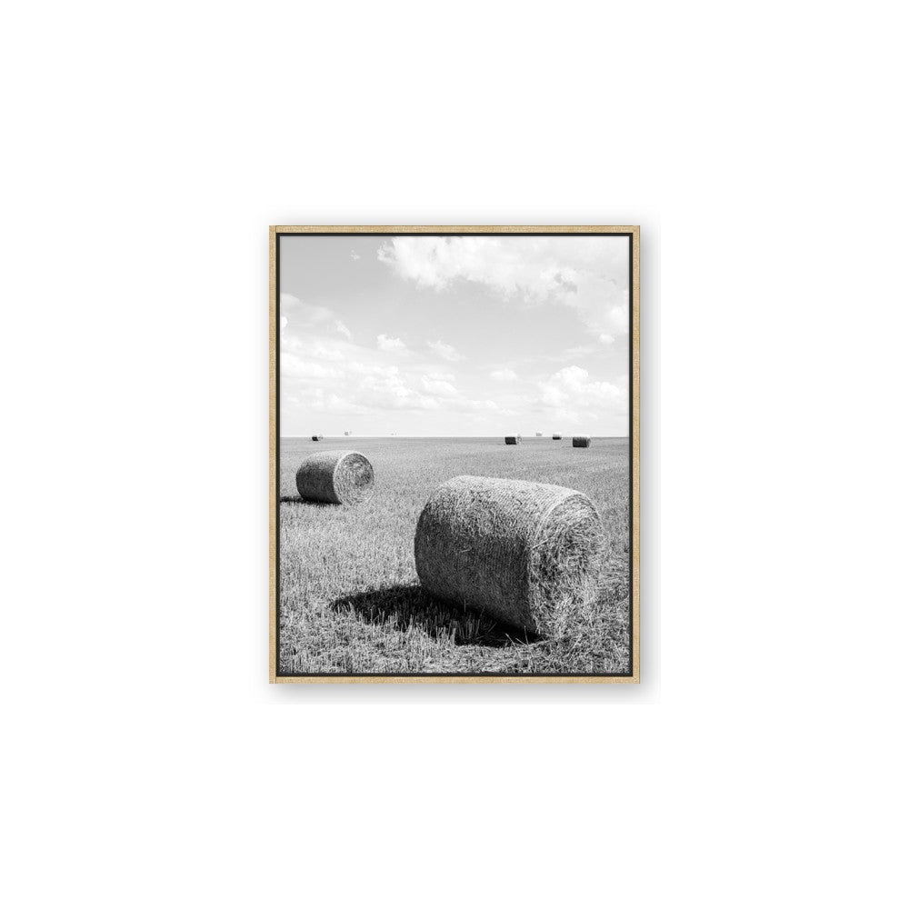 Hay Bail