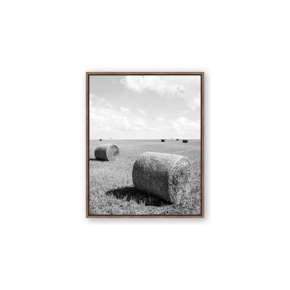 Hay Bail